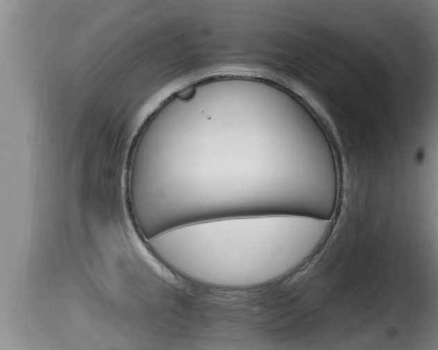 X0000115661237200911120936