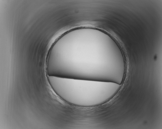 X0000115661240200911120936