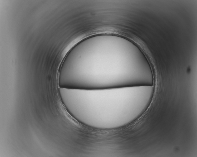 X0000115661242200911120936