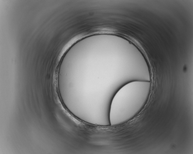 X0000115661243200911120936