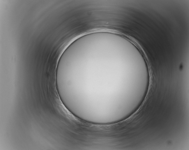 X0000115661244200911120936