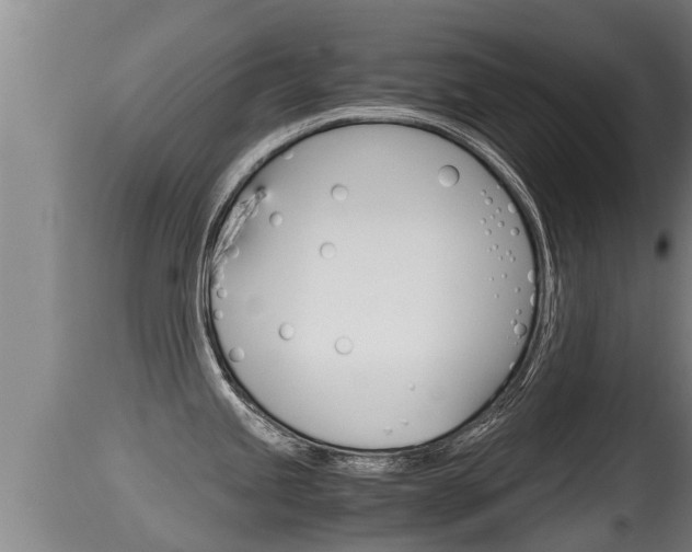 X0000115661245200911120936