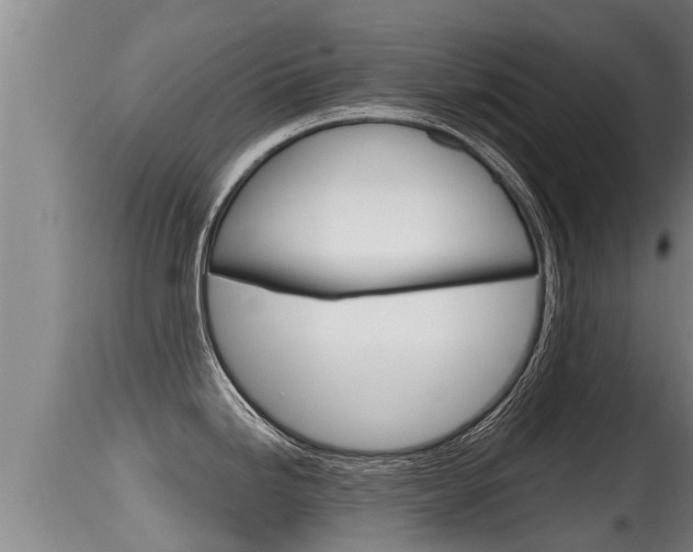 X0000115661246200911120936