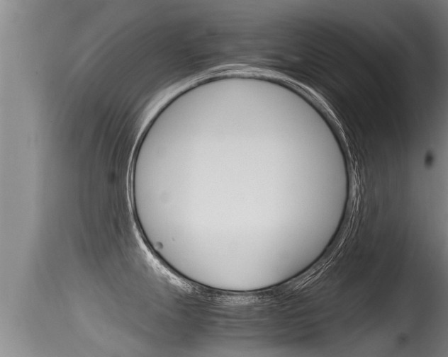 X0000115661247200911120936