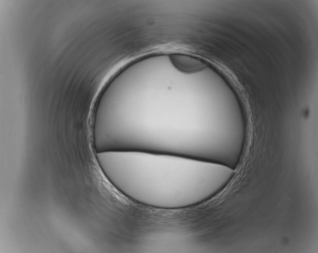 X0000115661248200911120936