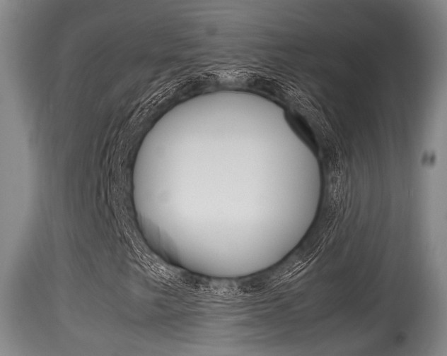 X0000115661249200911120935