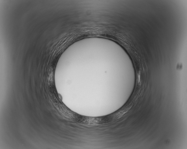 X0000115661251200911120935