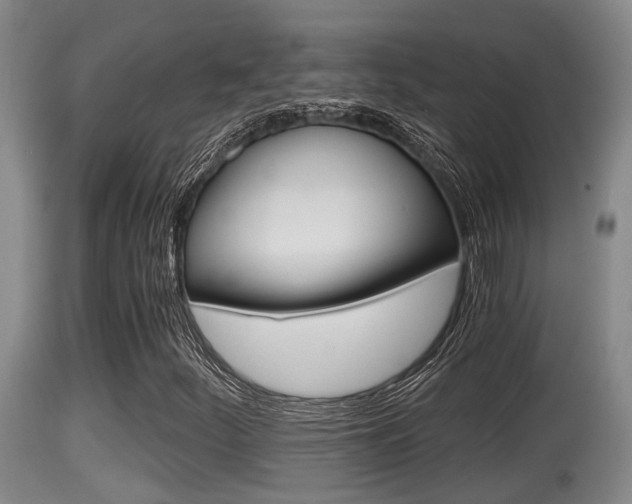 X0000115661252200911120935