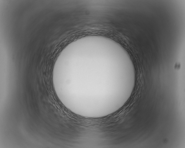 X0000115661253200911120935