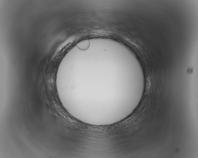 X0000115661254200911120935