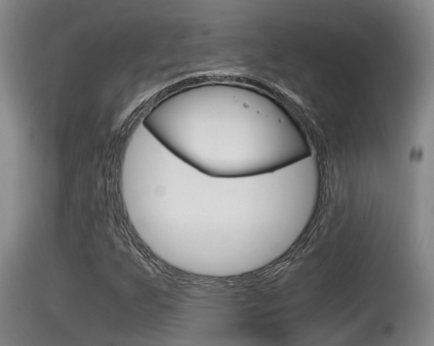 X0000115661255200911120935