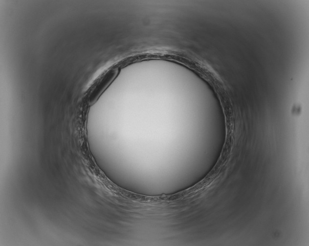 X0000115661256200911120935
