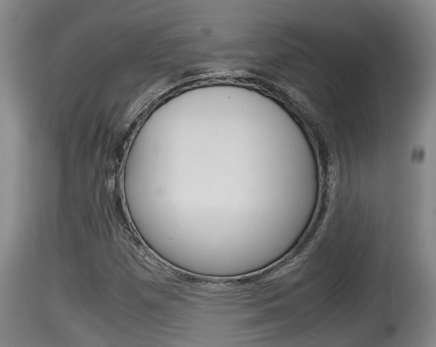X0000115661257200911120935