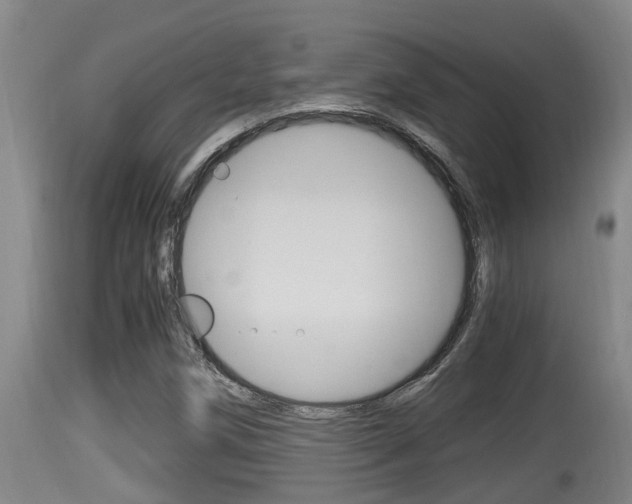 X0000115661258200911120935