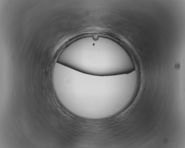 X0000115661259200911120935