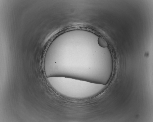 X0000115661261200911120935