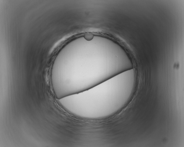 X0000115661262200911120935