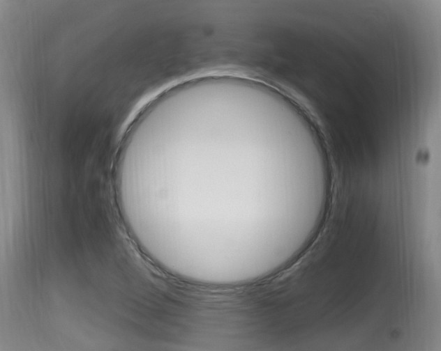X0000115661264200911120935