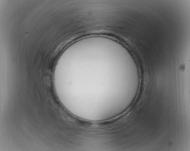 X0000115661265200911120935