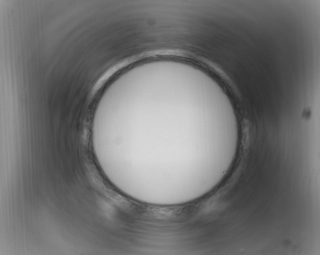 X0000115661266200911120935