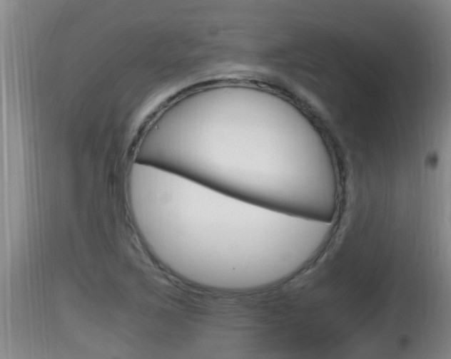 X0000115661267200911120935