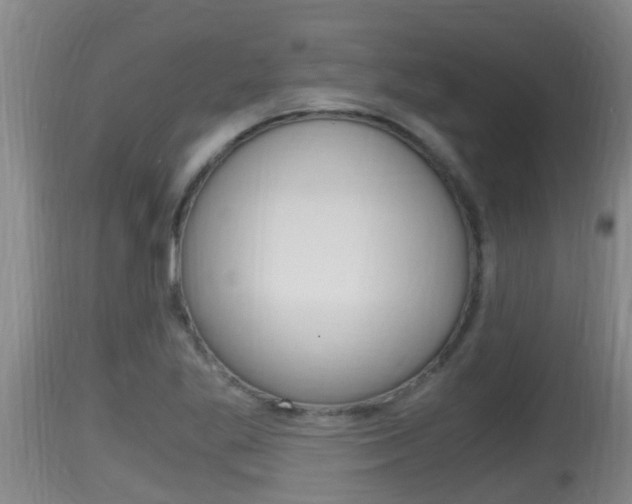 X0000115661269200911120935