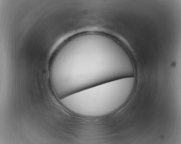 X0000115661270200911120935