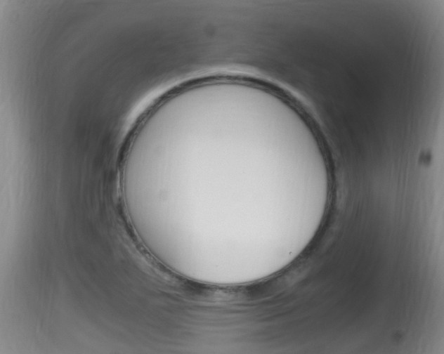 X0000115661271200911120935