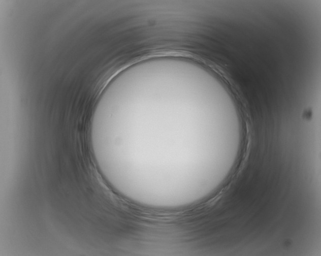 X0000115661273200911120935