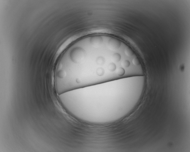 X0000115661274200911120935