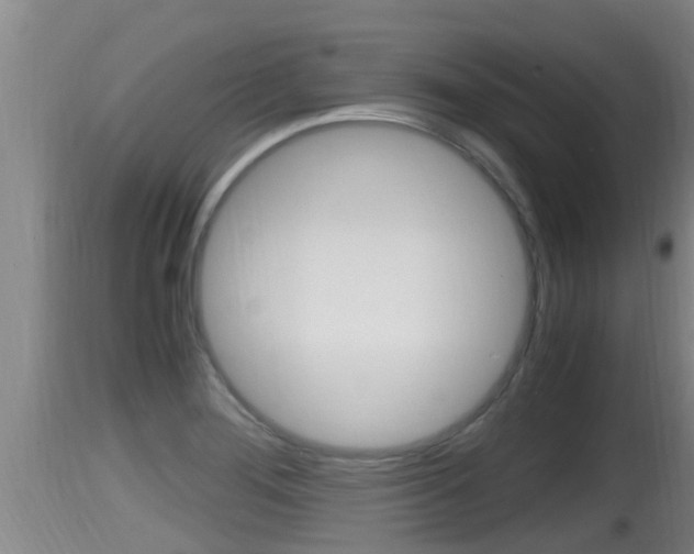 X0000115661276200911120935