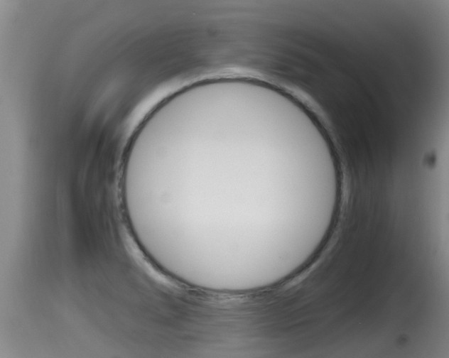 X0000115661278200911120935