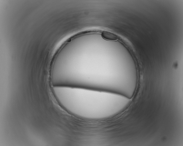 X0000115661279200911120935