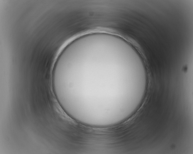 X0000115661280200911120935