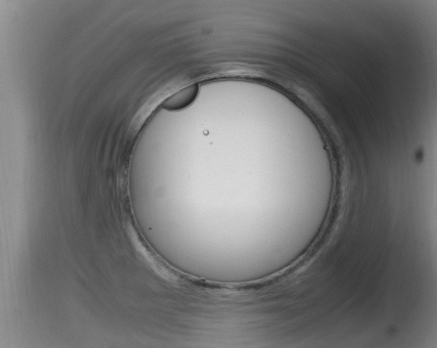 X0000115661281200911120935