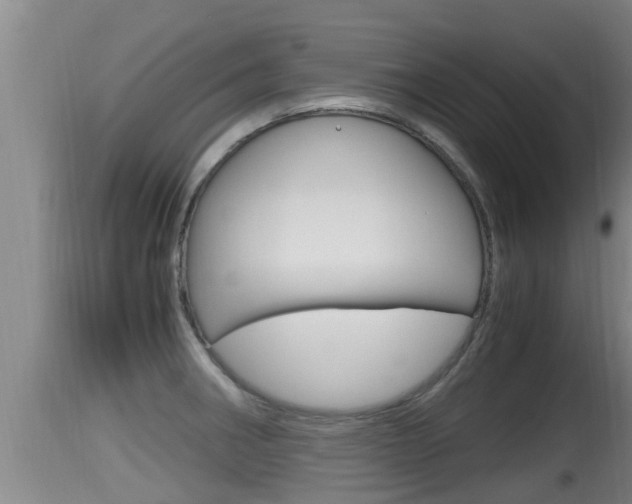 X0000115661282200911120935