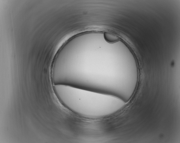 X0000115661283200911120935