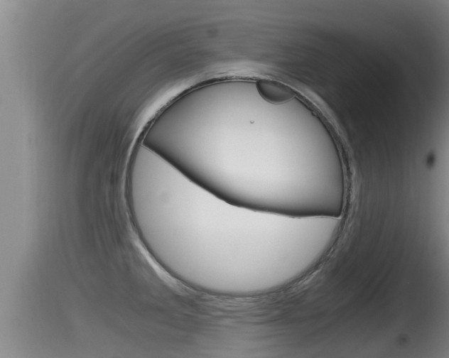 X0000115661285200911120935
