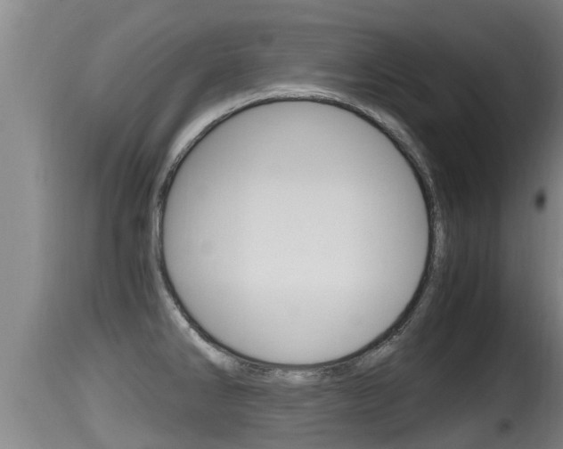 X0000115661286200911120935