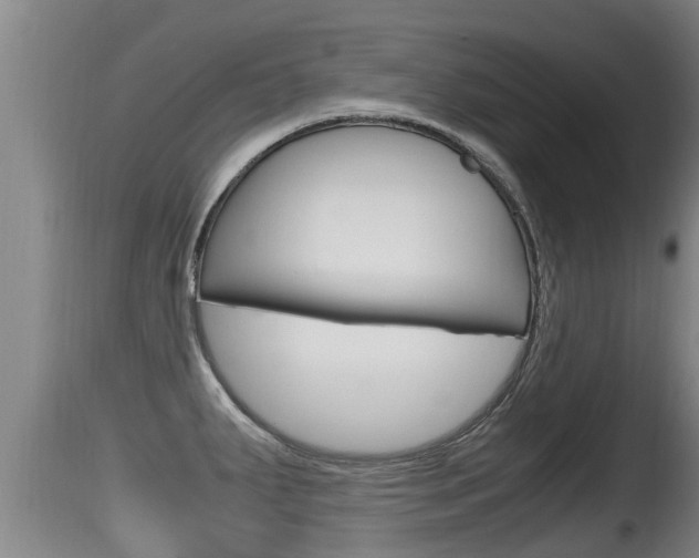 X0000115661287200911120935
