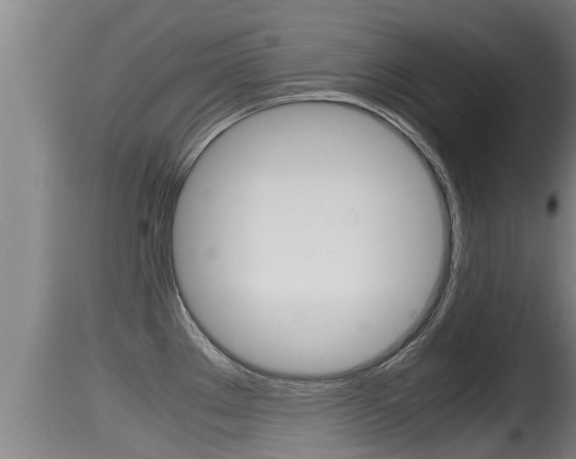 X0000115661289200911120935