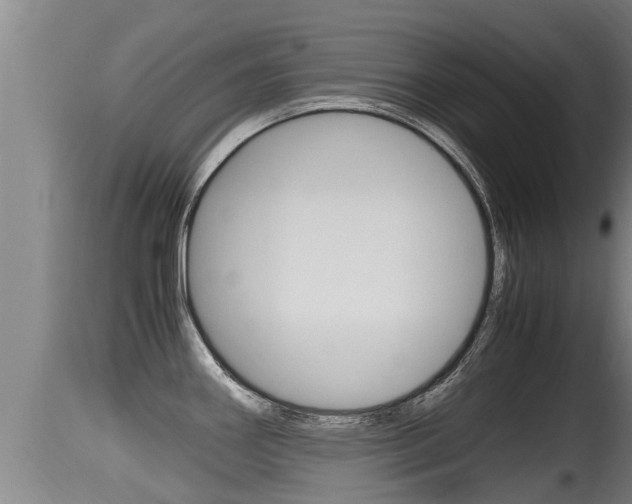 X0000115661290200911120934