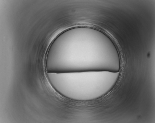 X0000115661291200911120934