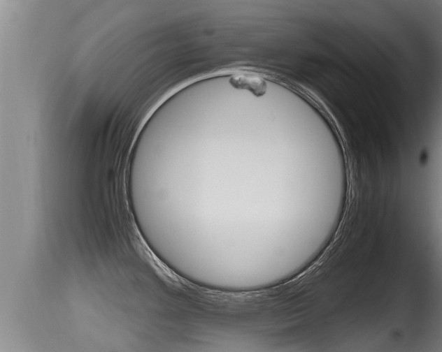 X0000115661292200911120934
