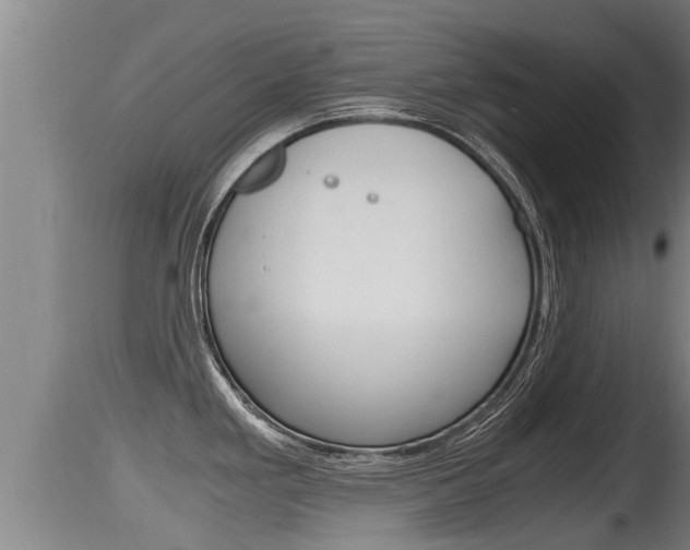 X0000115661293200911120934