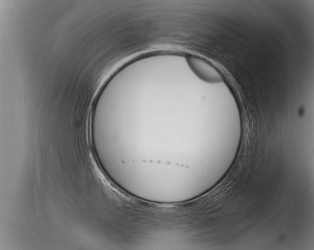 X0000115661295200911120934