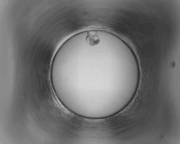 X0000115661296200911120934