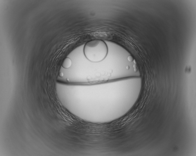 X0000115661297200911120934