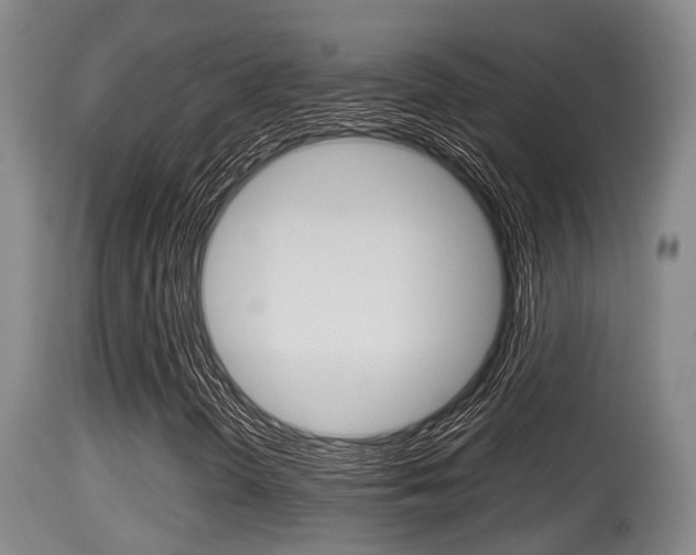 X0000115661298200911120934