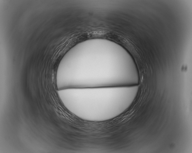 X0000115661299200911120934